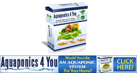 Aquaponics System
